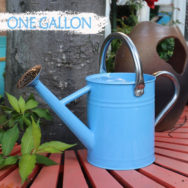 yourjoy Metal Watering Can, One Gallon Watering Cans Stainless Steel for Outdoor Indoor Garden Plants Watering (Stainless Steel Handle Blue) - Image 3